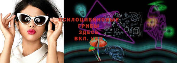 амф Вязники