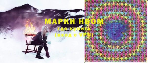 ГАЛЛЮЦИНОГЕННЫЕ ГРИБЫ Вязьма