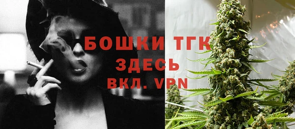 ГАЛЛЮЦИНОГЕННЫЕ ГРИБЫ Вязьма