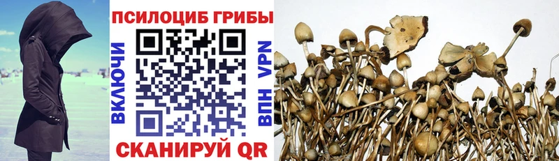 Псилоцибиновые грибы Magic Shrooms  где купить   Галич 